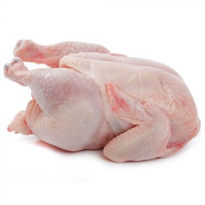 Baby Chicken 1piece
