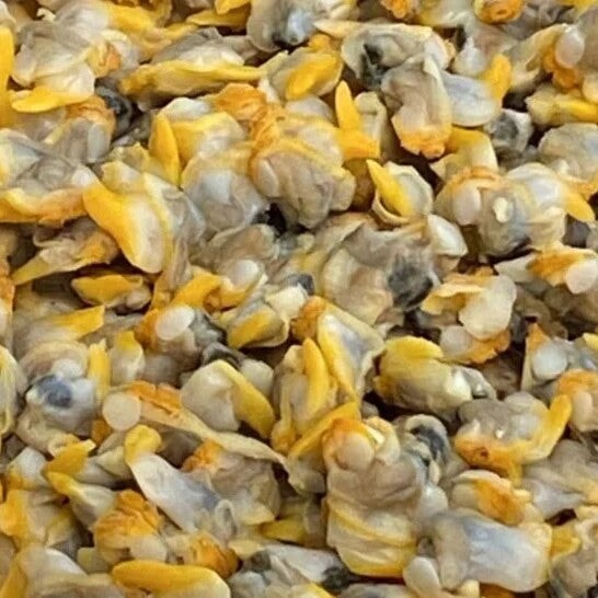 Cooked cockles 200g
