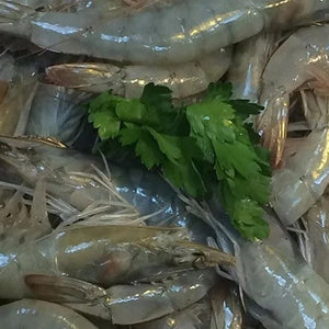 Fresh Madagascan King Prawns in shell 500g