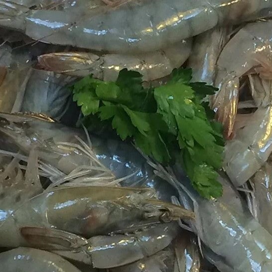 Fresh Madagascan King Prawns in shell 500g