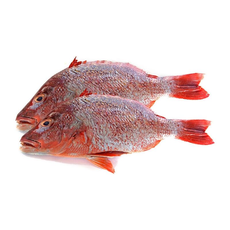 Frozen Red Bream 2pieces