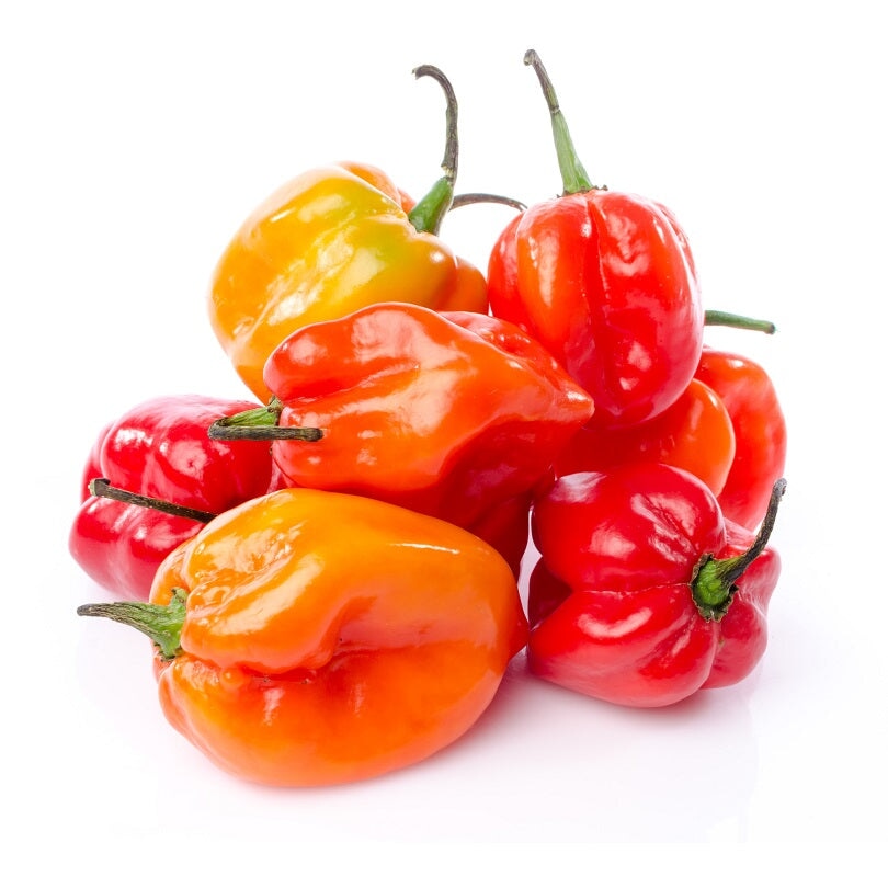 Scotch bonnet bag 250g