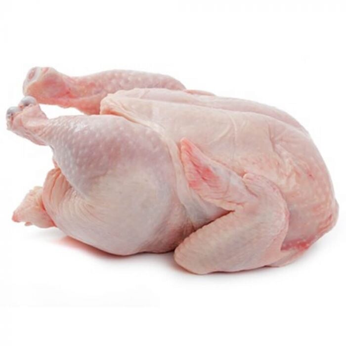 Baby Chicken (Single) - Halal