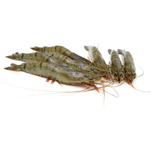 Black Tiger Headed Prawns 1 pack