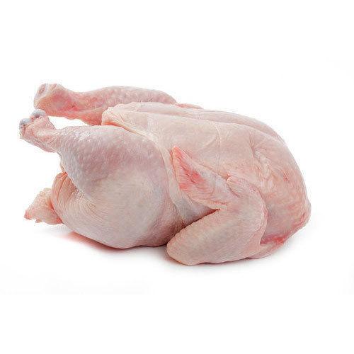 Chicken (Single) - Halal