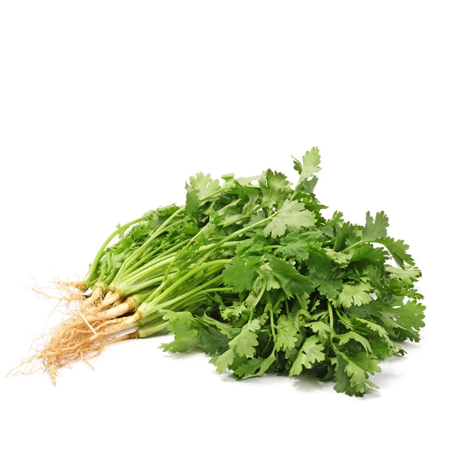 Fresh Coriander Bunch Same Day Grocery Delivery Lambeth