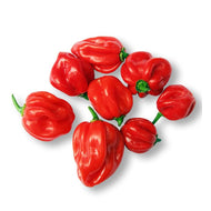 Hot Pepper 250g