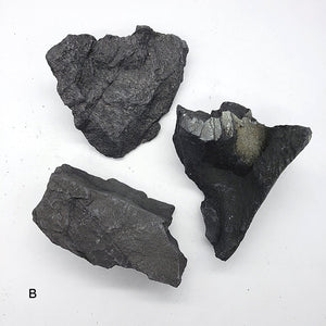 Raw Shungite Large Stone Melchizedek Moor