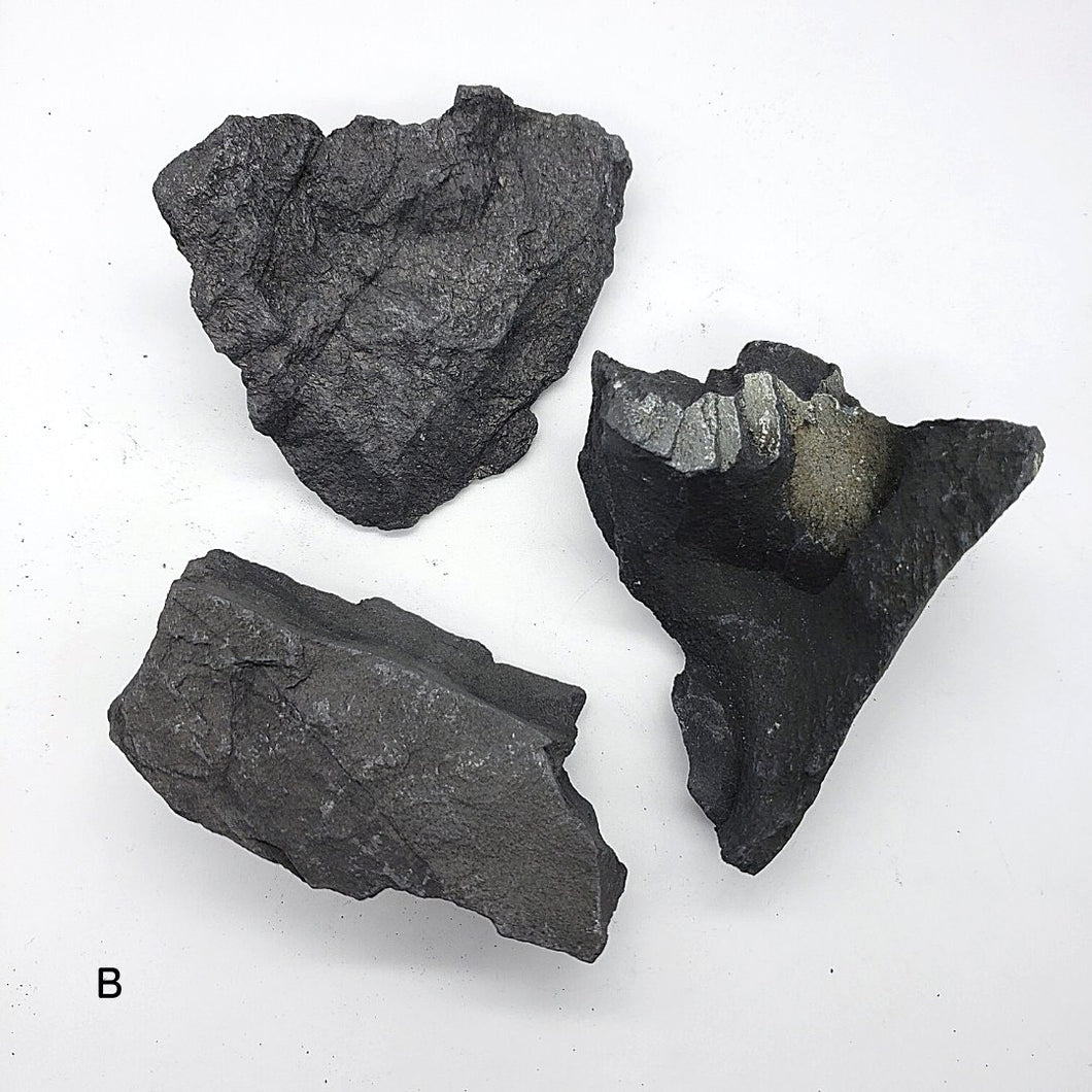 Raw Shungite Large Stone Melchizedek Moor