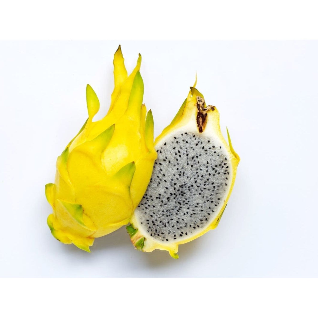 Yellow Dragon Fruit (Single)